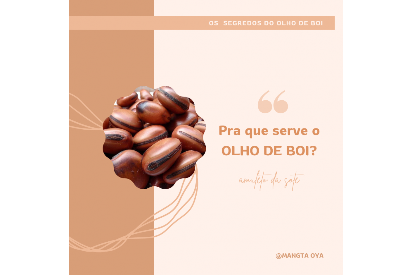 Os segredos do Olho de boi